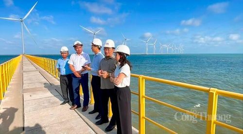 Đoàn khảo sát, làm việc tại Nhà máy điện gió Duyên Hải.
