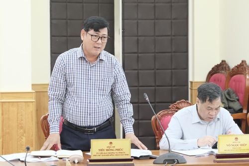 Ủy viên Ban Thường vụ Tỉnh ủy, Phó Chủ tịch HĐND tỉnh Tiêu Hồng Phúc phát biểu tại phiên họp