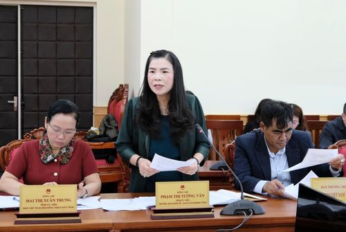Trưởng Ban Kinh tế - Ngân sách HĐND tỉnh Phạm Thị Tường Vân phát biểu tại phiên họp