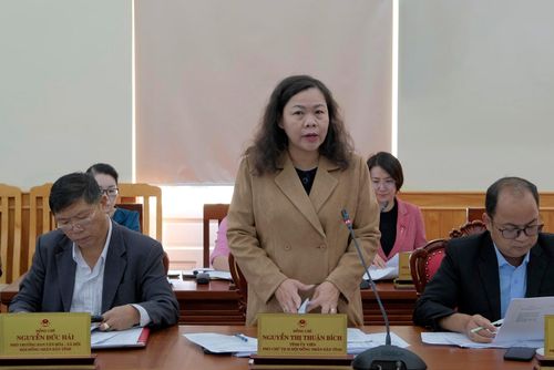 Phó Chủ tịch HĐND tỉnh, Trưởng Ban Văn hóa - Xã hội HĐND tỉnh Nguyễn Thị Thuận Bích phát biểu tại phiên họp