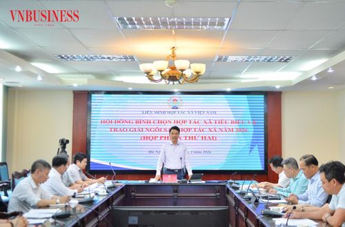 Phó Chủ tịch Liên minh HTX Việt Nam Đinh Hồng Thái, Chủ tịch Hội đồng bình chọn giải Ngôi sao HTX và giải Mai An Tiêm phát biểu tại phiên họp.