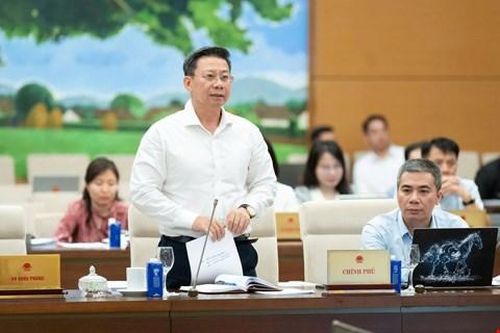 Thứ trưởng Bộ Tư pháp Nguyễn Thanh Ngọc trình bày Tờ trình của Chính phủ.