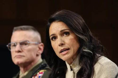 Giám đốc Tình báo Tulsi Gabbard điều trần trước phiên họp của Ủy ban Tình báo Thượng viện tại Đồi Capitol ở Washington. Ảnh: Reuters. 