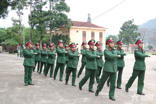Luyện tập điều lệnh đội ngũ, rèn tác phong chính quy.