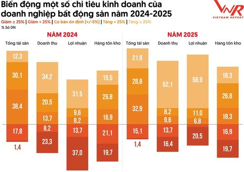 Nguồn: Dữ liệu 73 doanh nghiệp bất động sản niêm yết, Vietnam Report tổng hợp