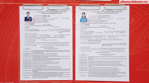 Tiểu sử tóm tắt của đại biểu ứng cử HĐND tỉnh Lạng Sơn nhiệm kỳ 2026-2031.