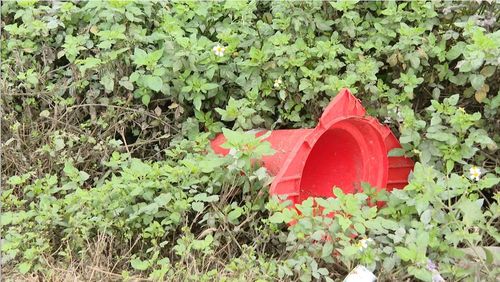 Chóp nón bị vứt trong hành lang cao tốc tại Km 305