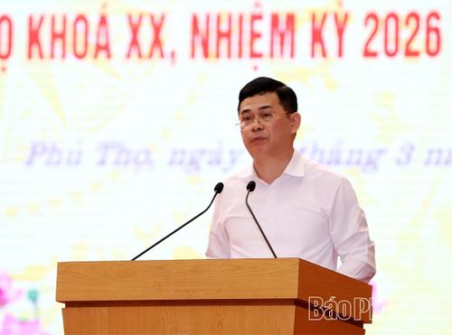 Đồng chí Giám đốc Sở Nôi vụ Trần Việt Cường báo cáo sơ bộ kết quả cuộc bầu cử.