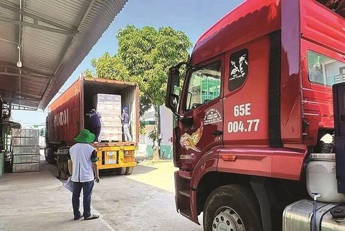 Doanh nghiệp xuất khẩu đang có những phản ứng khá linh hoạt