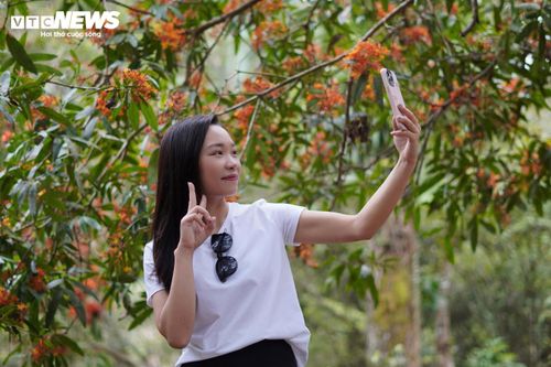 “Đến với suối Moọc thời điểm này cảm giác thư thái, thơ mộng. Rừng hoa vàng anh như ôm trọn mọi góc check-in trên cầu gỗ, cũng như khi trải nghiệm các trò chơi dưới nước nơi đây. Đặc biệt, khi màu xanh ngọc bích của dòng suối Nước Moọc kết hợp với sắc cam của hoa vàng anh tạo ra vẻ đẹp không dễ bắt gặp”, chị Cao Thị Thu Hoài (29 tuổi, trú tại xã Kim Phú, tỉnh Quảng Trị) chia sẻ).