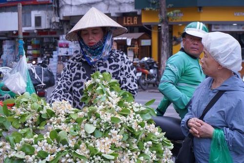 Không chỉ có những người dân Hà Thành say mê hoa bưởi. Sự dịu dàng của hoa bưởi thậm chí còn thu hút cả du khách nước ngoài. Đi ngang qua một gánh hoa bưởi ven đường, dù đang vội vã, cũng vô thức đi chậm lại một nhịp, hít một hơi thật sâu để lồng ngực căng hương thơm đồng nội ấy.