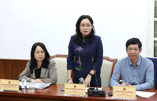 Thứ trưởng Trịnh Thị Thủy phát biểu