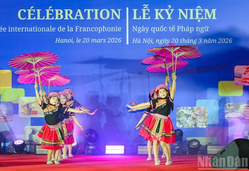 Múa “Hương sắc bản Mèo” do học sinh Trường Tiểu học Đoàn Thị Điểm Hà Nội biểu diễn.