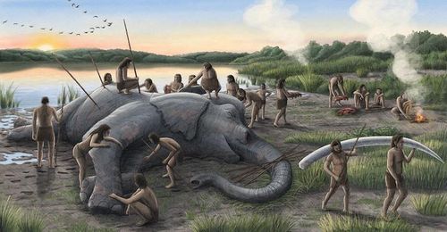 Neumark-Nord, từng là một vùng hồ trù phú, là nơi các nhà khảo cổ tìm thấy hài cốt của hơn 70 con voi ngà thẳng. Ảnh: Alex Boersma/PNAS.