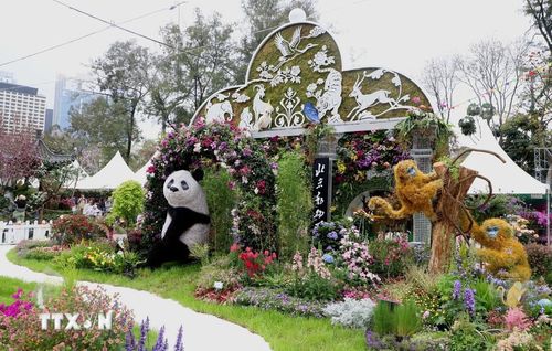 Một khu trưng bày tại triển lãm. (Ảnh: Xuân Vịnh/TTXVN tại Hong Kong)