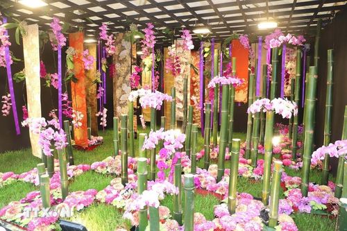 Tạo hình nghệ thuật tại sự kiện. (Ảnh: Xuân Vịnh/TTXVN tại Hong Kong)