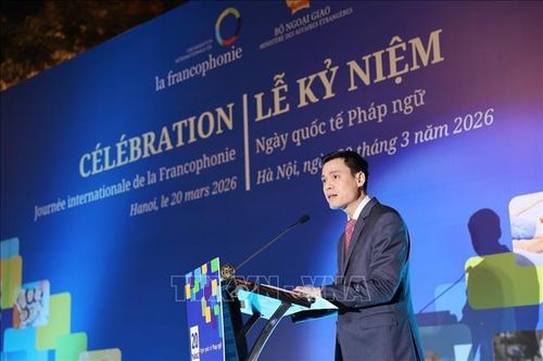 Ông Đặng Hoàng Giang, Thứ trưởng Bộ Ngoại giao phát biểu chào mừng. Ảnh: Phạm Tuấn Anh/TTXVN
