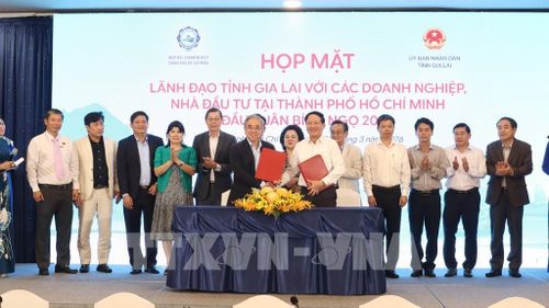 Lãnh đạo UBND tỉnh Gia Lai và Hiệp hội Doanh nghiệp TP. Hồ Chí Minh ký kết hợp tác hoạt động xúc tiến đầu tư. Ảnh: Xuân Anh - TTXVN