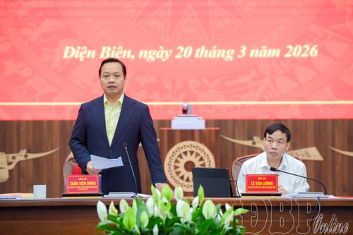 Bí thư Tỉnh ủy Trần Tiến Dũng phát biểu tại buổi làm việc.