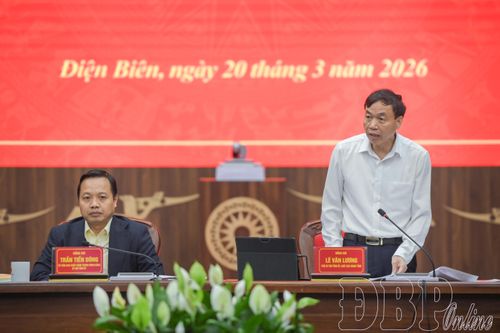 Chủ tịch UBND tỉnh Lê Văn Lương phát biểu tại buổi làm việc.