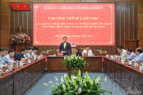 Các đại biểu dự buổi làm việc.