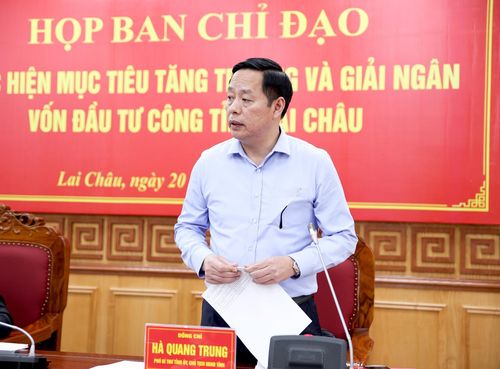 Đồng chí Hà Quang Trung - Phó Bí thư Tỉnh ủy, Chủ tịch UBND tỉnh, Phó Trưởng Ban Thường trực Ban Chỉ đạo điều hành nội dung hội nghị. 