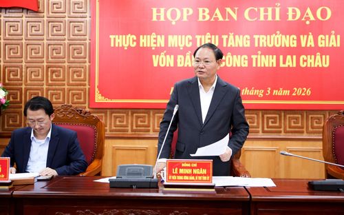 Đồng chí Lê Minh Ngân - Ủy viên Ban Chấp hành Trung ương Đảng, Bí thư Tỉnh ủy, Trưởng Ban Chỉ đạo phát biểu kết luận cuộc họp. 