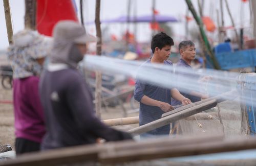 Ông Lê Văn Thông, Trưởng phòng Kinh tế xã Hải Châu cho biết: Toàn xã có hơn 300 bè mảng đánh lưới gần bờ. Đây là một trong những nguồn thu nhập chính của người dân nơi đây.