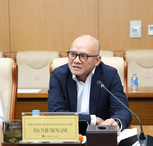 Đại biểu Quốc hội hoạt động chuyên trách tại Ủy ban Công tác đại biểu Bế Trung Anh phát biểu tại tọa đàm. Ảnh: Khánh Duy