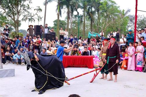 Cuộc thi cày ruộng thể hiện tinh thần coi trọng lao động sản xuất trong Hội kén rể.