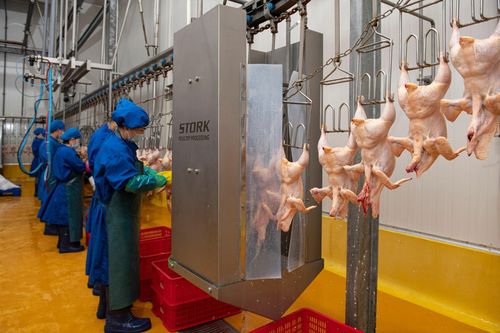 Giết mổ công nghiệp bảo đảm an toàn thực phẩm. Ảnh: PV