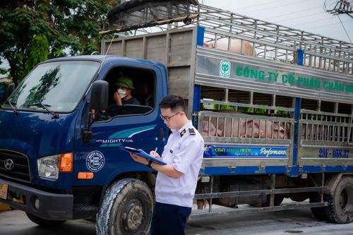 Các địa phương tăng cường kiểm tra giám sát nguồn gốc động vật vào cơ sở giết mổ. Ảnh: PV