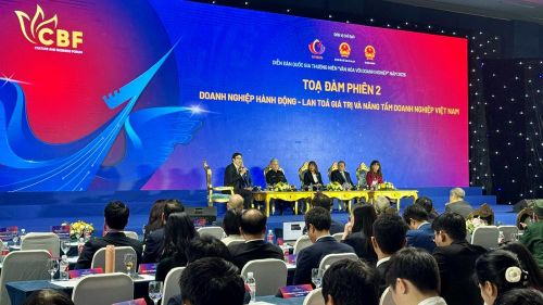Phiên tọa đàm 2 chủ đề “Doanh nghiệp hành động - Lan tỏa giá trị và nâng tầm doanh nghiệp Việt Nam”