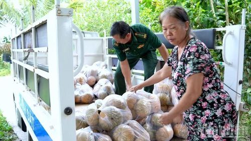 Cán bộ thuộc Ban Chỉ huy Bộ đội Biên phòng Cà Mau chất bí đỏ đã thu mua của nhà nông lên xe chuẩn bị đưa về đơn vị.