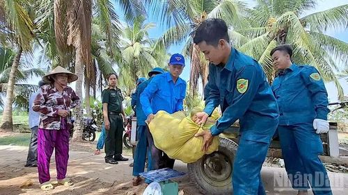 Lực lượng dân quân tự vệ và cán bộ thuộc Bộ Chỉ huy Quân sự tỉnh Cà Mau hỗ trợ nhà nông xã Khánh Bình thu mua bí đỏ.