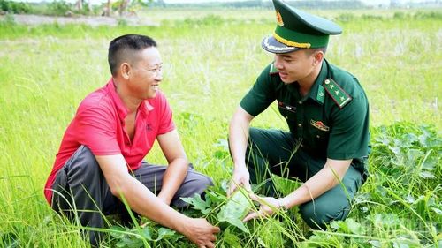 Nụ cười rạng rỡ, quên đi mệt nhọc của người lính trẻ "quân hàm xanh" Cà Mau khi góp phần san sẻ gánh nặng với người nông dân trồng bí đỏ.