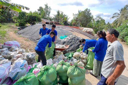  Lực lượng đoàn viên hỗ trợ nông dân tiêu thụ bí đỏ. Ảnh: PHÚC HOÀI 