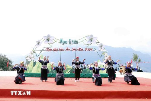 Trình diễn các tiết mục văn hóa, văn nghệ sôi nổi tại Ngày hội hoa sơn tra xã Ngọc Chiến (Sơn La). (Ảnh: Quang Quyết/TTXVN)