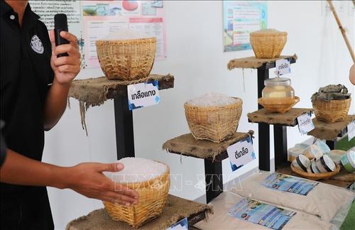 Muối biển tạo nên hương vị mặn đặc trưng, là yếu tố cốt lõi trong di sản ẩm thực của Phetchaburi. Ảnh: Đỗ Sinh/PV TTXVN tại Thái Lan