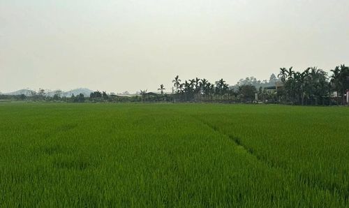 Một góc làng Khổng Tào ngày nay.