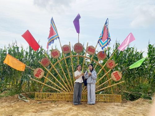 Ngày hội bắp nếp Cẩm Nam kéo dài đến ngày 22/3. Ảnh: VĨNH LỘC