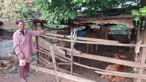  Người dân phấn khởi khi bò giống hỗ trợ đã sinh sản. Ảnh: N.D 