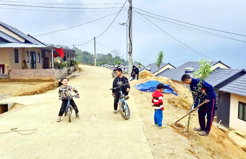 Các hộ dân cùng nhau trồng cây xanh, vệ sinh các tuyến đường để khu tái định cư luôn xanh, sạch, đẹp.