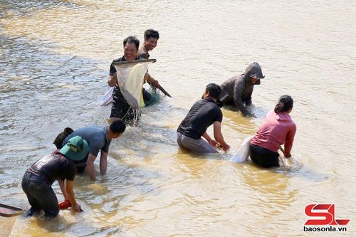 Sôi nổi hoạt động thi bắt cá.