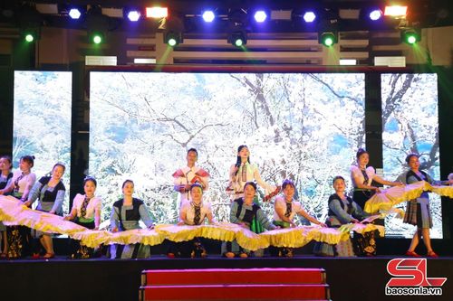 Chương trình nghệ thuật "Sắc màu hoa ban Tô Múa".