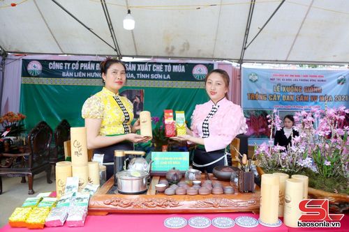 Gian hàng trưng bày sản phẩm chè Tô Múa.