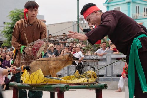 Ở phần thi chọc chó, ai dùng giềng chọc cho con chó sủa trước sẽ giành chiến thắng. Theo quan niệm xưa, nếu chó sủa thì năm nay sẽ có tài lộc, mùa màng tươi tốt.