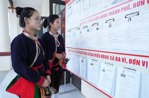 Cử tri người dân tộc Dao (xã Ba Vì) tìm hiểu tiểu sử các ứng cử viên trước khi thực hiện bỏ phiếu. Ảnh: VĂN TRỌNG