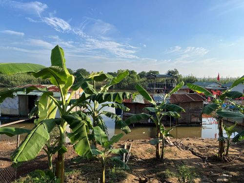 Khu vực bãi giữa thuộc địa phận phường Hồng Hà, Hà Nội, nơi tạm cư của một số hộ dân. Ảnh: Tuấn Đông