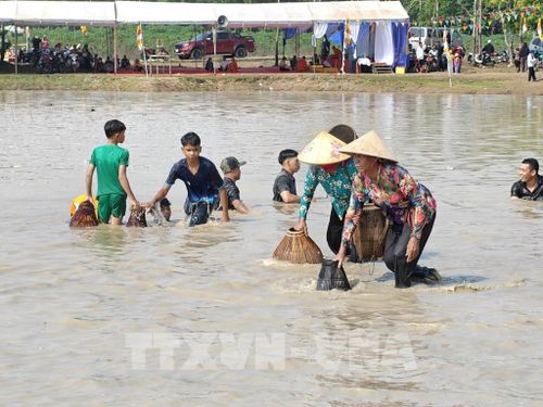 Trong phần trò chơi dân gian truyền thống dĩen ra sau phần nghi lễ, người dân trực tiếp xuống bàu bắt cá. Con cá lớn bắt đầu tiên sẽ dâng cho già làng. Mọi người sau đó lấy sản phẩm bắt được cùng nướng và chế biến các món ăn truyền thống để ăn tại lễ hội. Ảnh: K GƯỈH - TTXVN